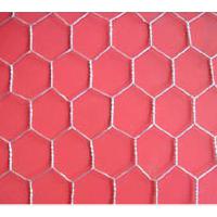 Large picture Hexagonal Wire Netting Gabions