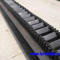 Large picture Sidewall Conveyor Belt