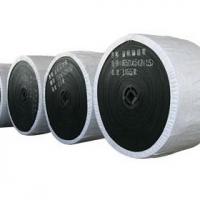 Large picture General Conveyor Belts