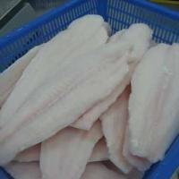 Large picture Pangasius Fillet, White Meat, Well-trimmed