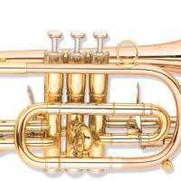 Large picture Cornet factory with good quality and price