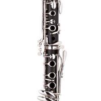 Large picture 17 key clarinet manufacturer with good price