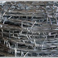 Large picture barbed wire