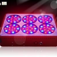 Large picture Apollo-6 Led Grow Light