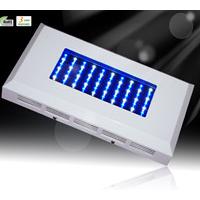 Large picture 60W LED Aquarium Lighting