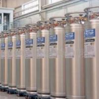 Large picture Cryogenic cylinder