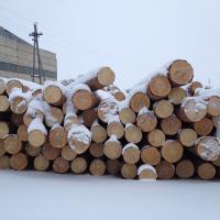 Large picture Russian Pine Logs