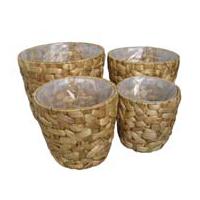Large picture Water Hyacinth Vase
