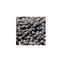 Large picture Vietnam black pepper quotation