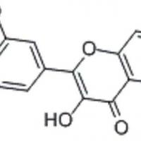 Large picture Myricetin