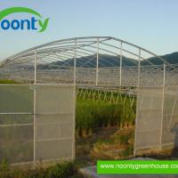 Large picture Single Tunnel Greenhouse