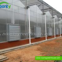 Large picture Venlo Polycarbonate (PC) Greenhouse