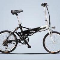 Large picture electric bike