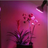 Large picture 12*1W LED Grow Spotlight (CDL-12W)