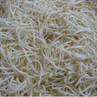 Large picture Canned  mung Bean Sprouts