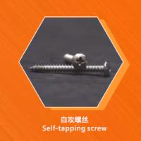 Large picture Self-tapping Screw