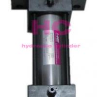 Large picture customized hydraulic cylinder