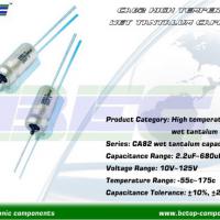 Large picture 175c high temperature axial wet tantalum capacitor