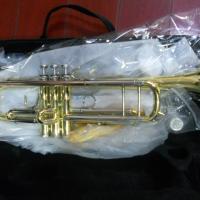 Large picture bach style trumpet