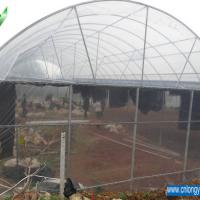 Large picture Tunnel Greenhouse