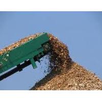 Large picture EUCALYTUS WOOD CHIP