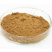 Large picture Pueraria (Kudzu Root) Extract 40% Isoflavnis