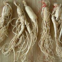 Large picture Supply Ginseng Extract Powder