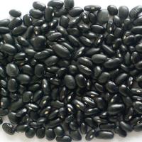 Large picture Black Kidney Beans-(Kernels in white)