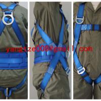 Large picture PP safety belt& Nylon safety belt