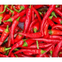 Large picture Supply 95% Capsaicin