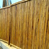 Large picture Bamboo fence full panel