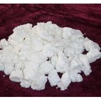 Large picture Nitrocellulose