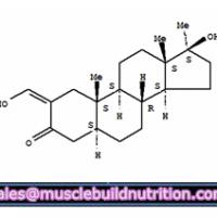 Large picture Oxymetholone (Anadrol)