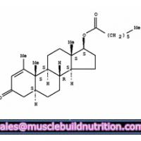 Large picture Methenolone enanthate