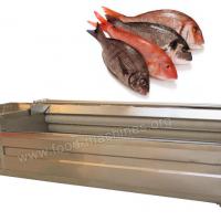Large picture Fish Scaling Machine
