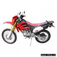 Dirt Bike (125cc)