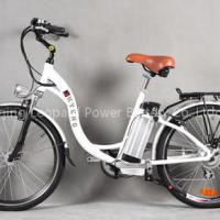 Lithium polymer battery for electric bicycle