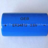 ER battery