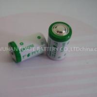 3.6v 1/2AA lithium battery for meters