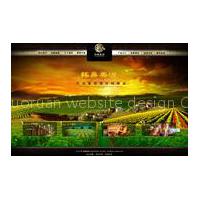 Company promotion website design  guangzhou
