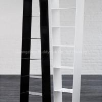 Carbon Fiber Bookcase/Showshelf