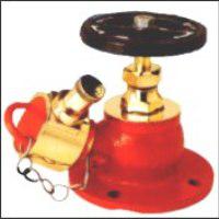 India Hydrant Valve
